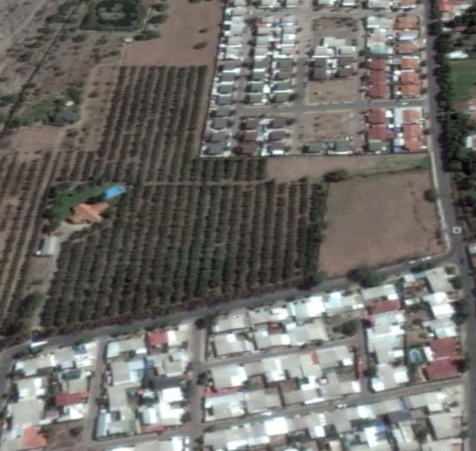 SECTOR ALAMEDA ALESSANDRI