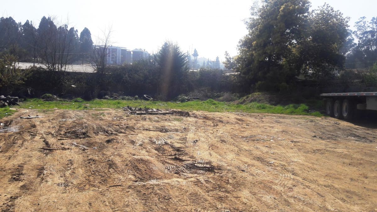 SECTOR  CENTRAL PLACILLA