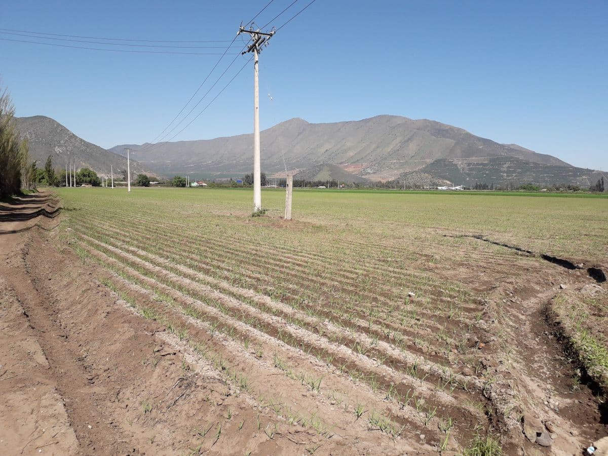 SECTOR RUTA 5 - LLAY-LLAY