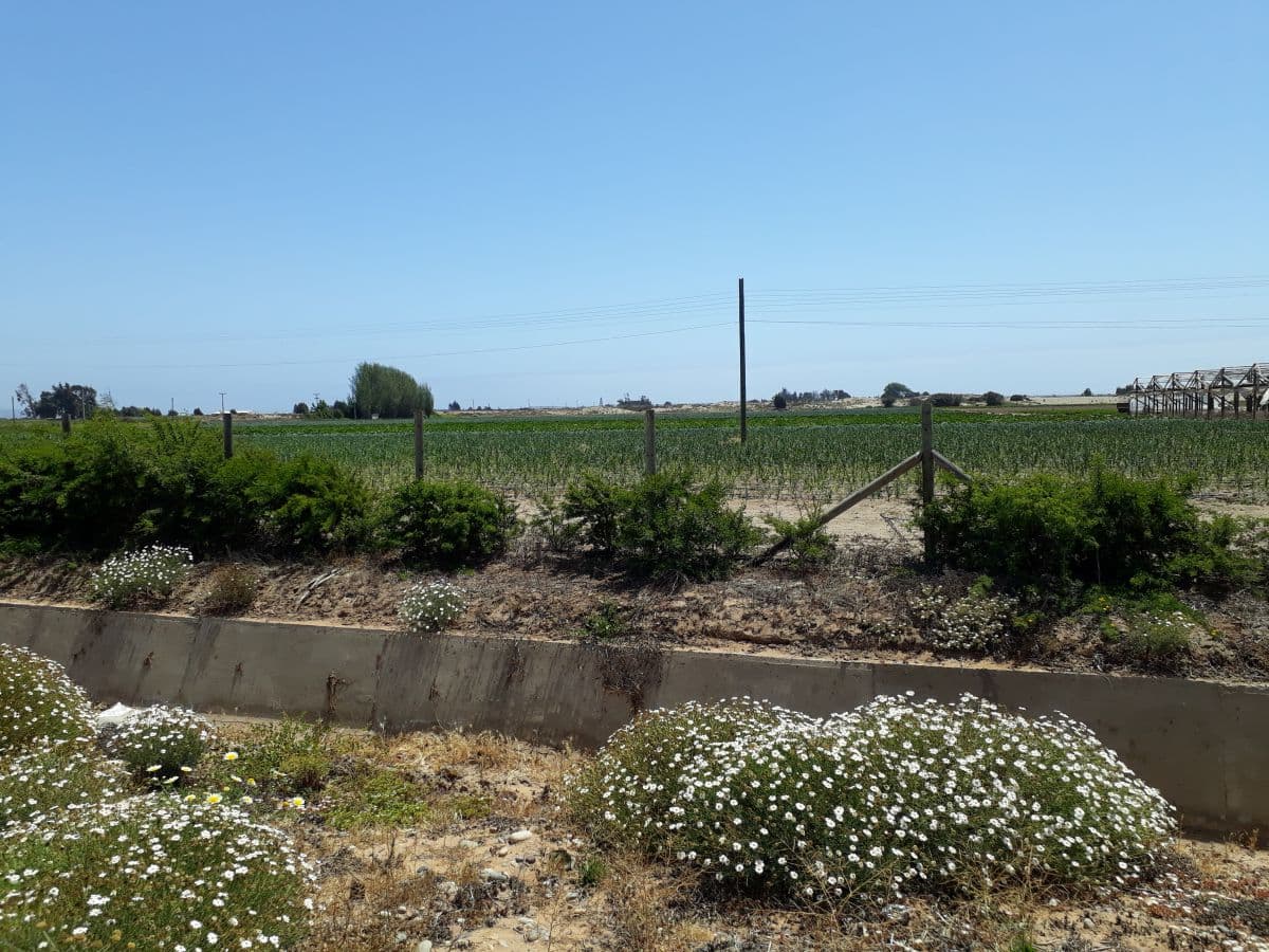 SECTOR CRUCE RUTA 5,  CALETA SAN PEDRO