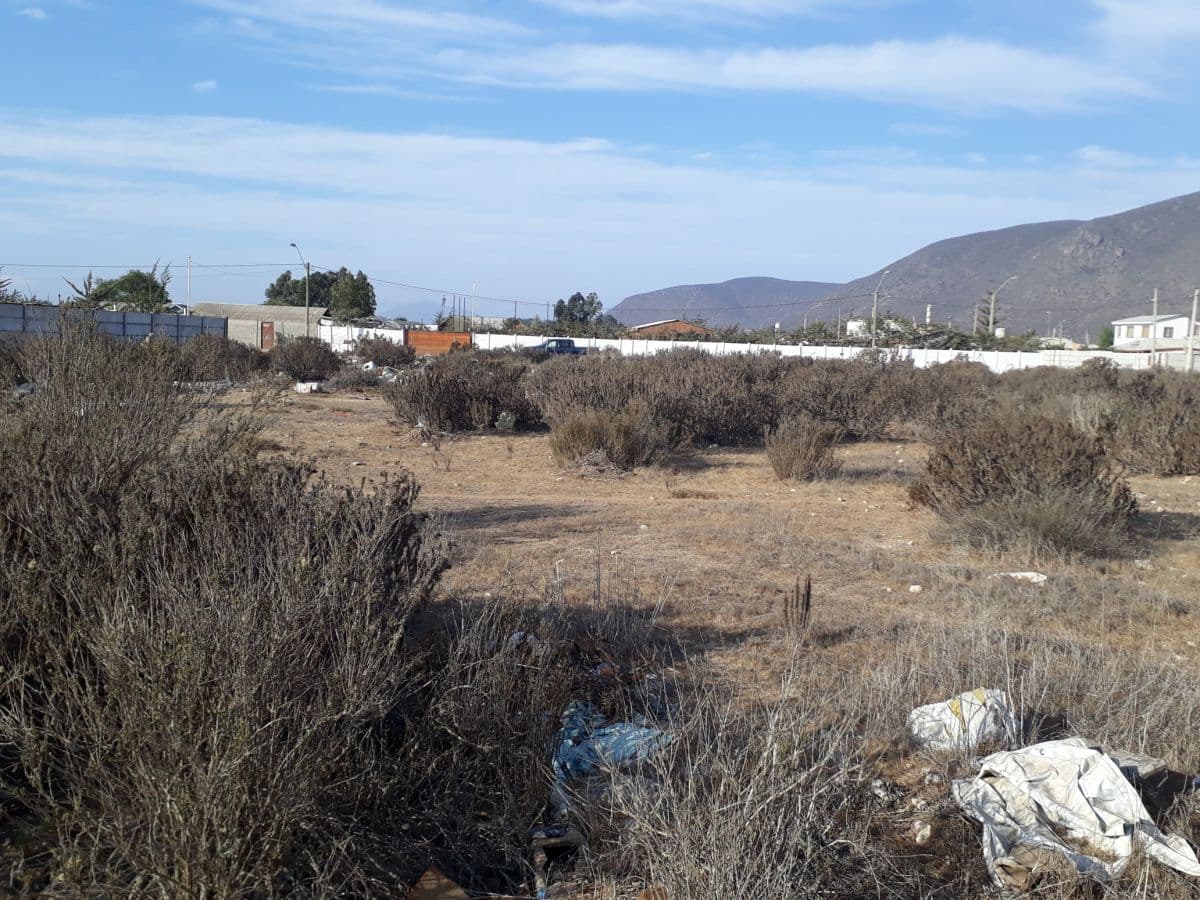 SECTOR EL SAUCE / SINDEMPART