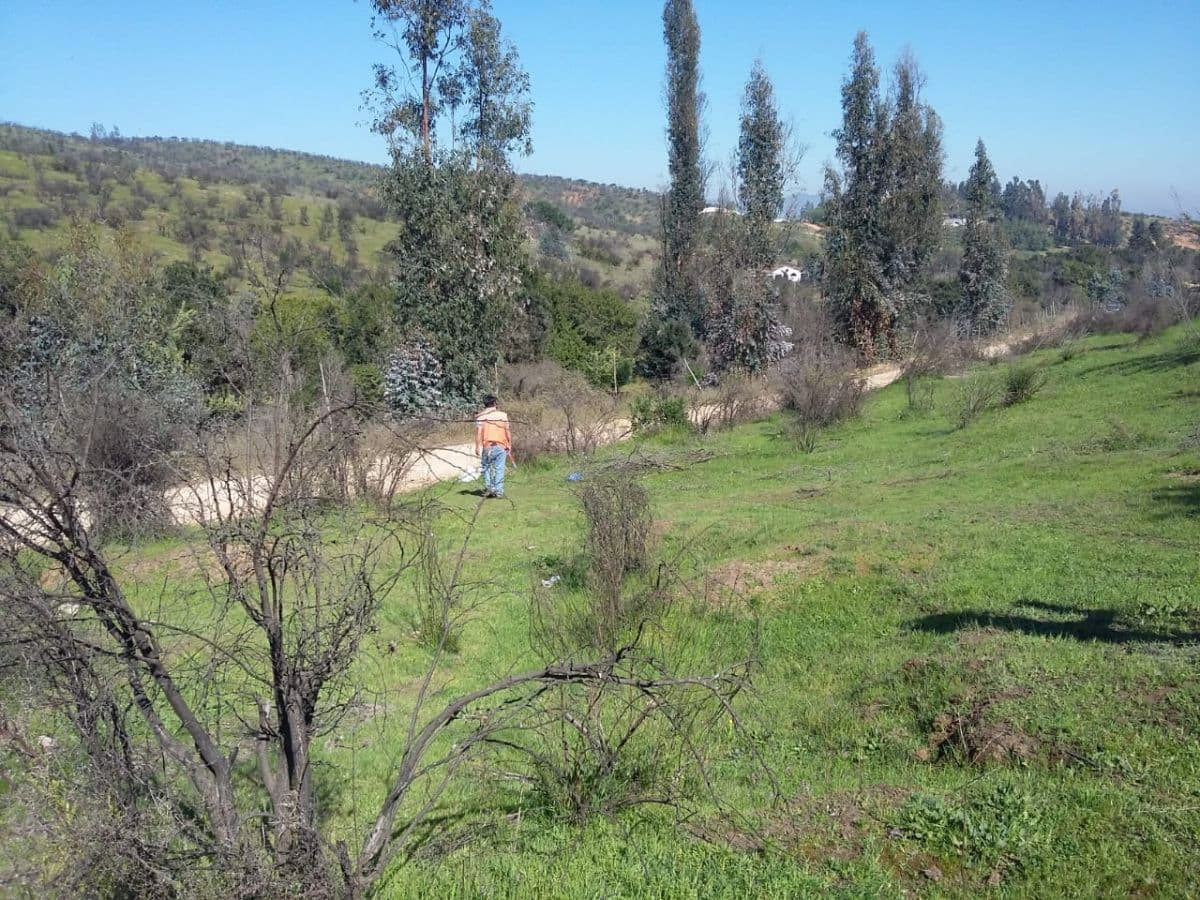 SECTOR EL ARRAYAN, TRONCAL SUR 