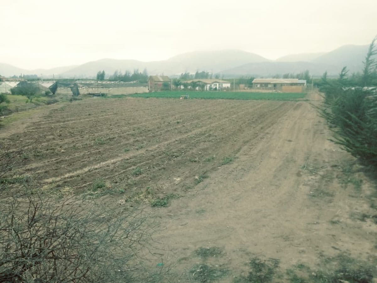 SECTOR PAN DE AZUCAR