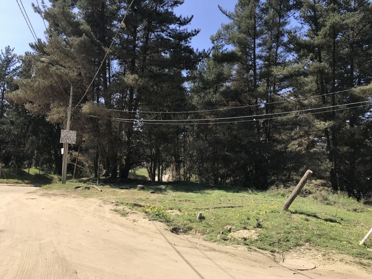 SECTOR LOS PINOS, REñACA