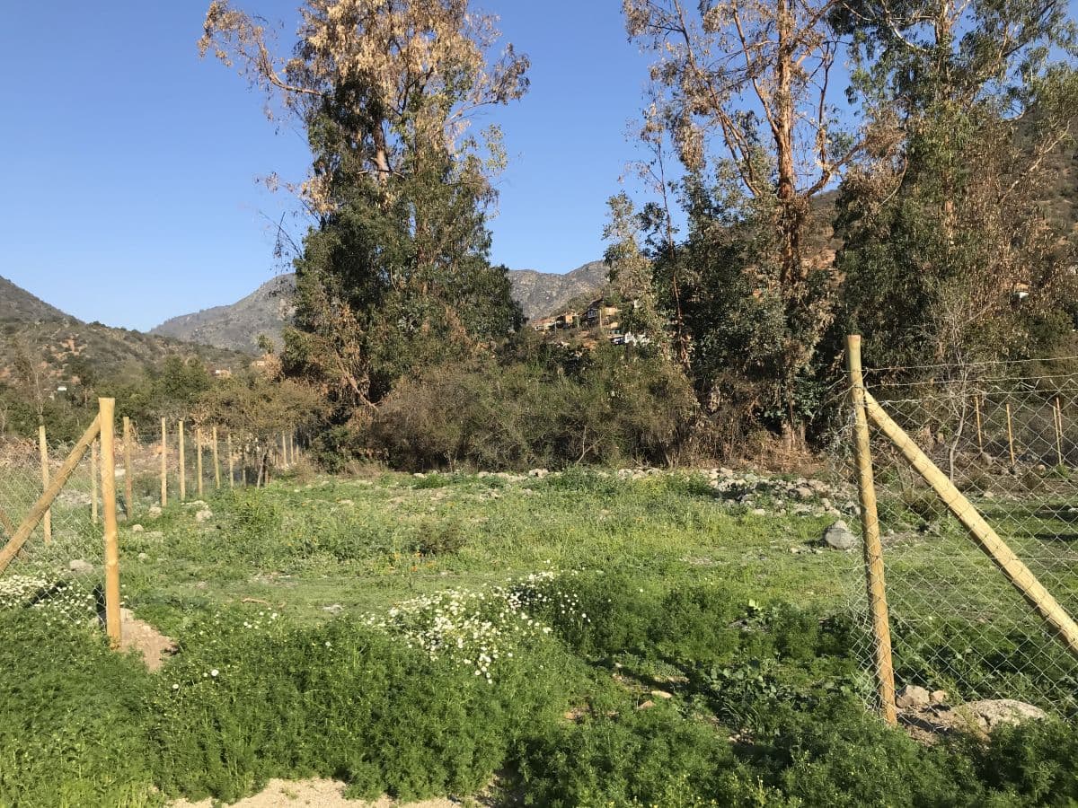 SECTOR CAJóN GRANDE, OLMUé