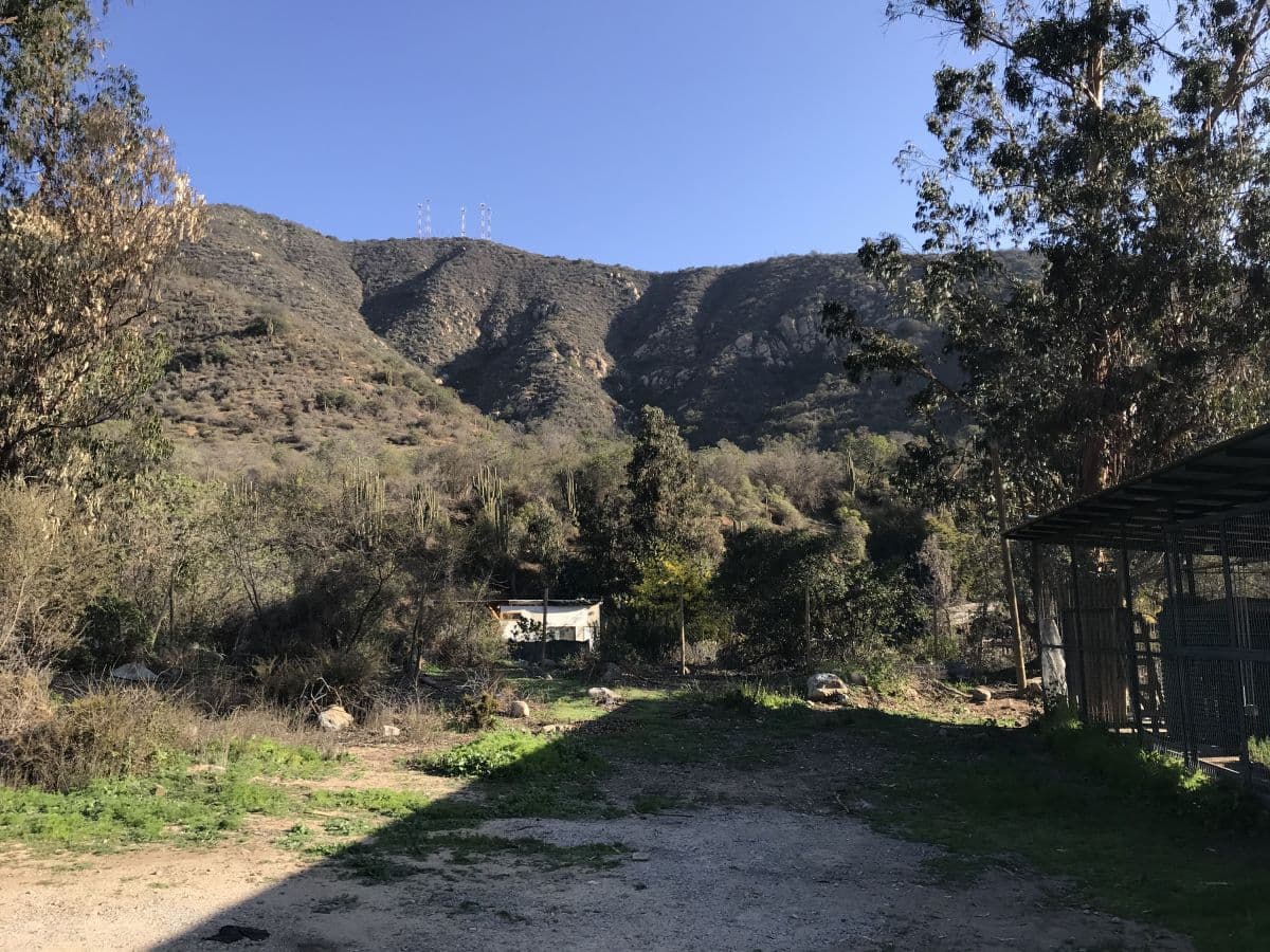 SECTOR CAJóN GRANDE, OLMUé