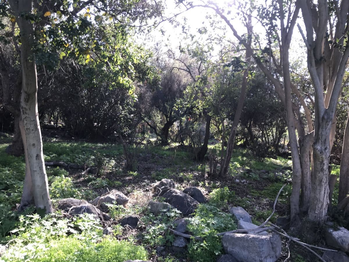 SECTOR CAJóN GRANDE, OLMUé