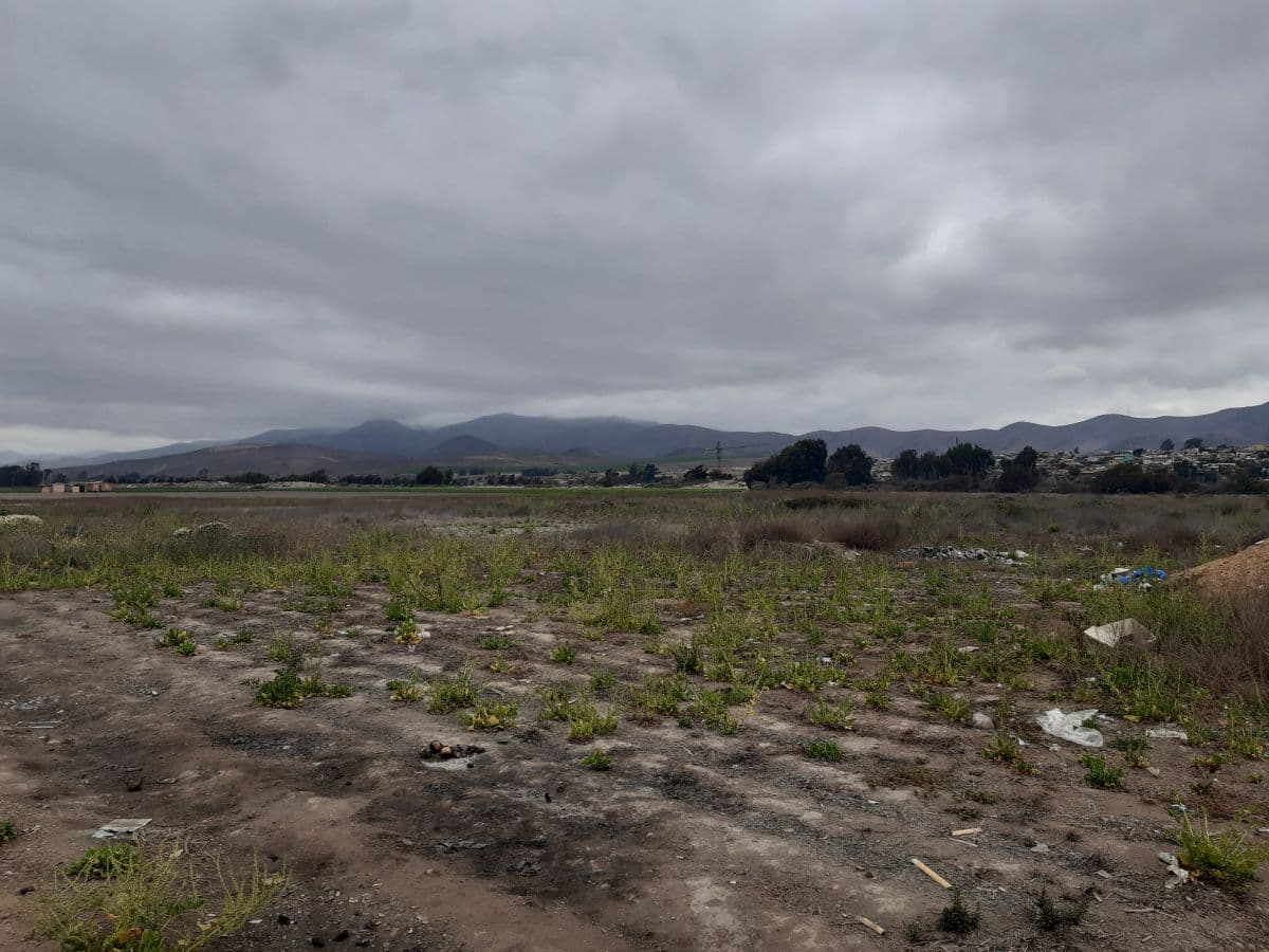 SECTOR AVENIDA SAN PEDRO 