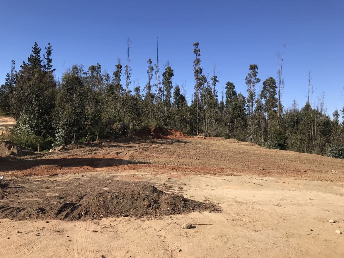 SECTOR CAMINO LA PóLVORA