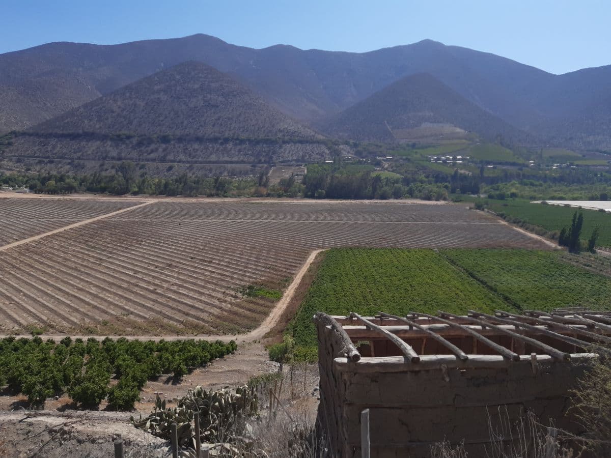 SECTOR MONTE PATRIA / MIALQUI 