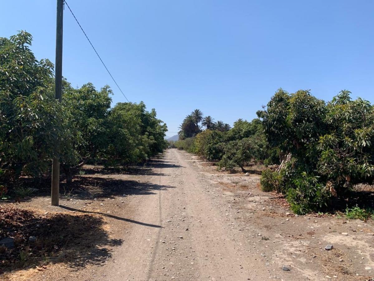 SECTOR PEAJE LAS VEGAS