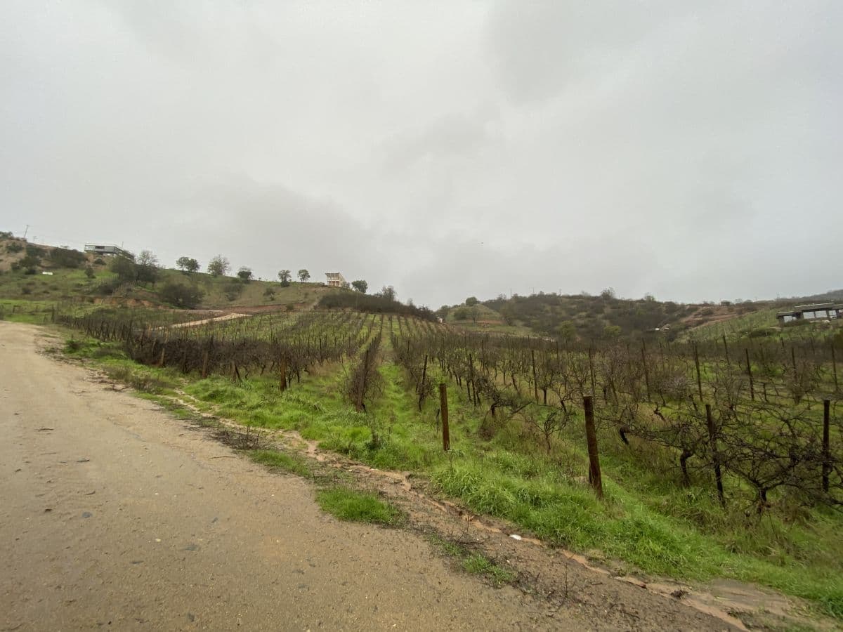 SECTOR HACIENDA CASABLANCA, CAMINO LO OVALLE