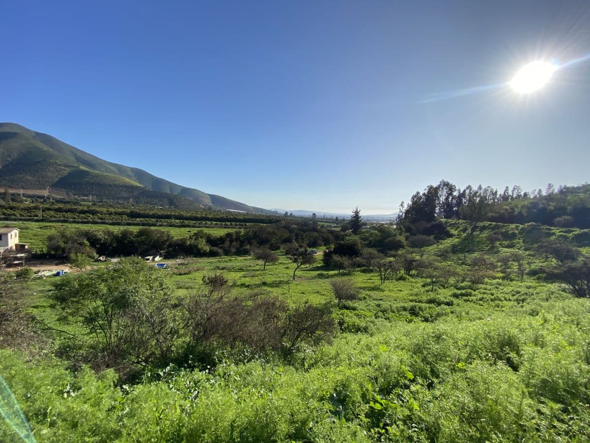 SECTOR LA PALMA, QUILLOTA