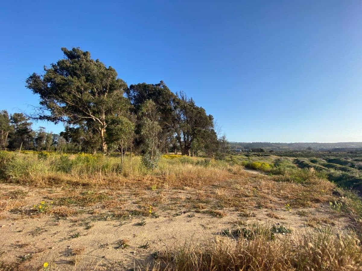 SECTOR SANTA ROSA DE COLMO