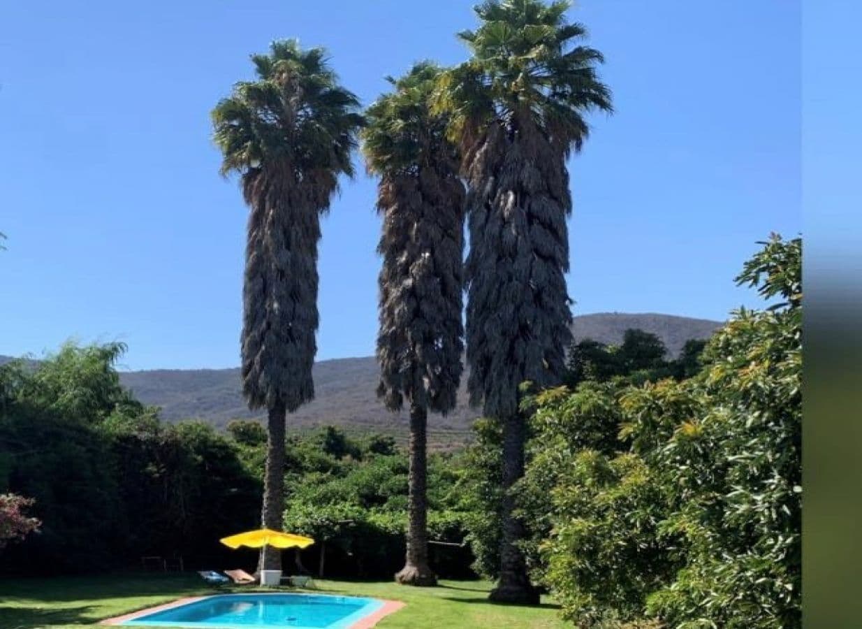 SECTOR LAS CHACRAS, NOGALES.