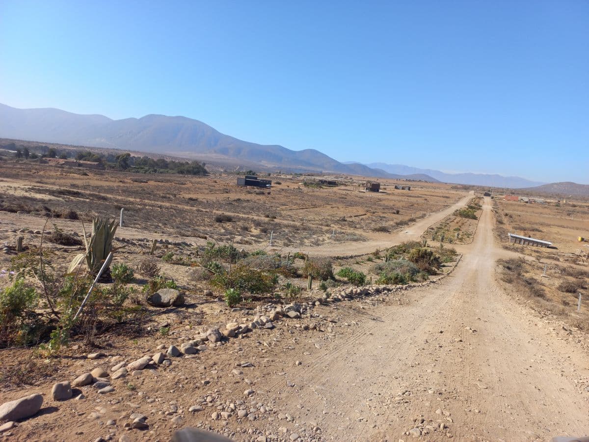 SECTOR MORRILLOS NORTE