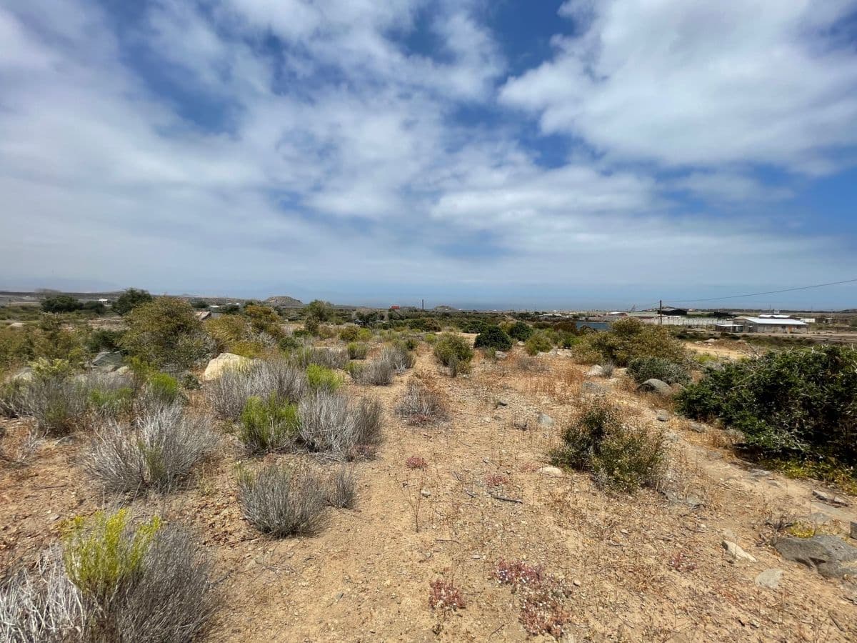 SECTOR TOTORALILLO ALTO