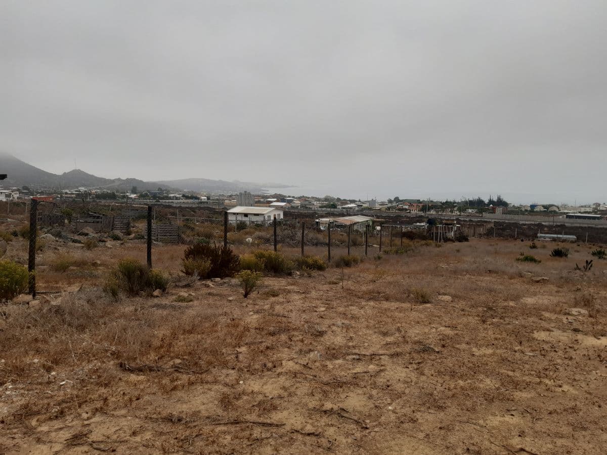 SECTOR TOTORALILLO ALTO