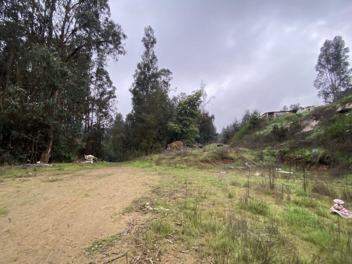 SECTOR FUNDO LAS MERCEDES, CURAUMA