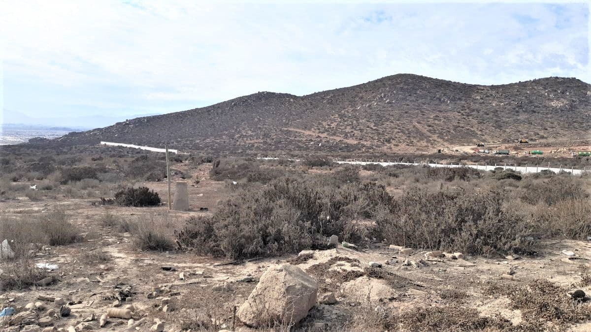 SECTOR EL PANUL , COQUIMBO 