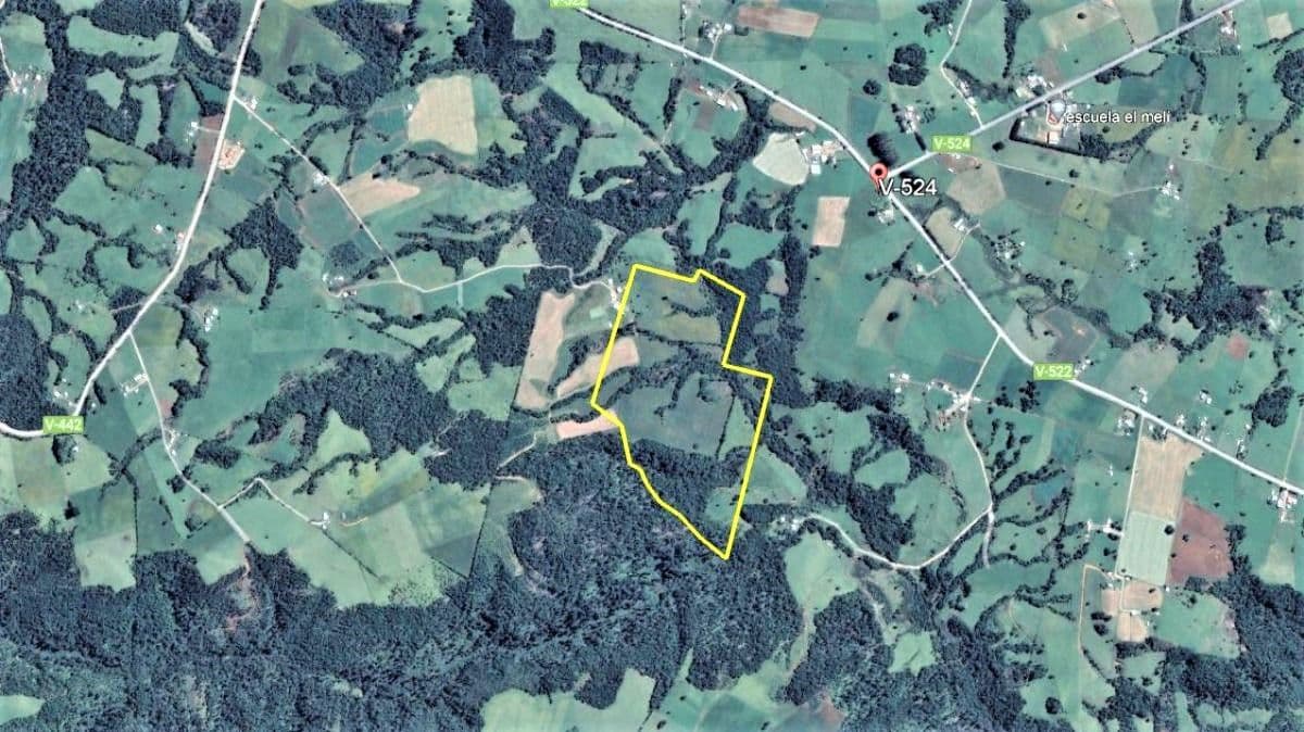 SECTOR SAN CARLOS EL MELI