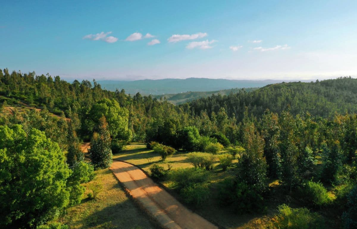 SECTOR HACIENDA LOS AROMOS.