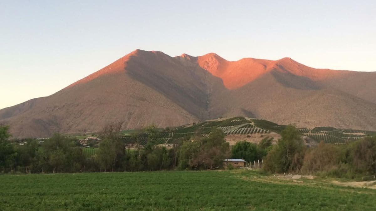 SECTOR PERALILLO - VICUñA