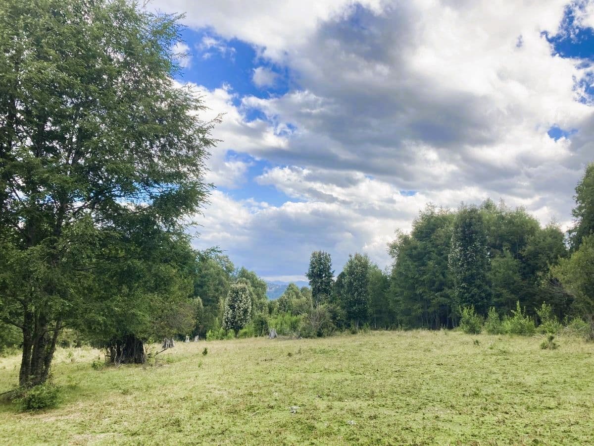 SECTOR CHALLUPEN /  RUTA S-961