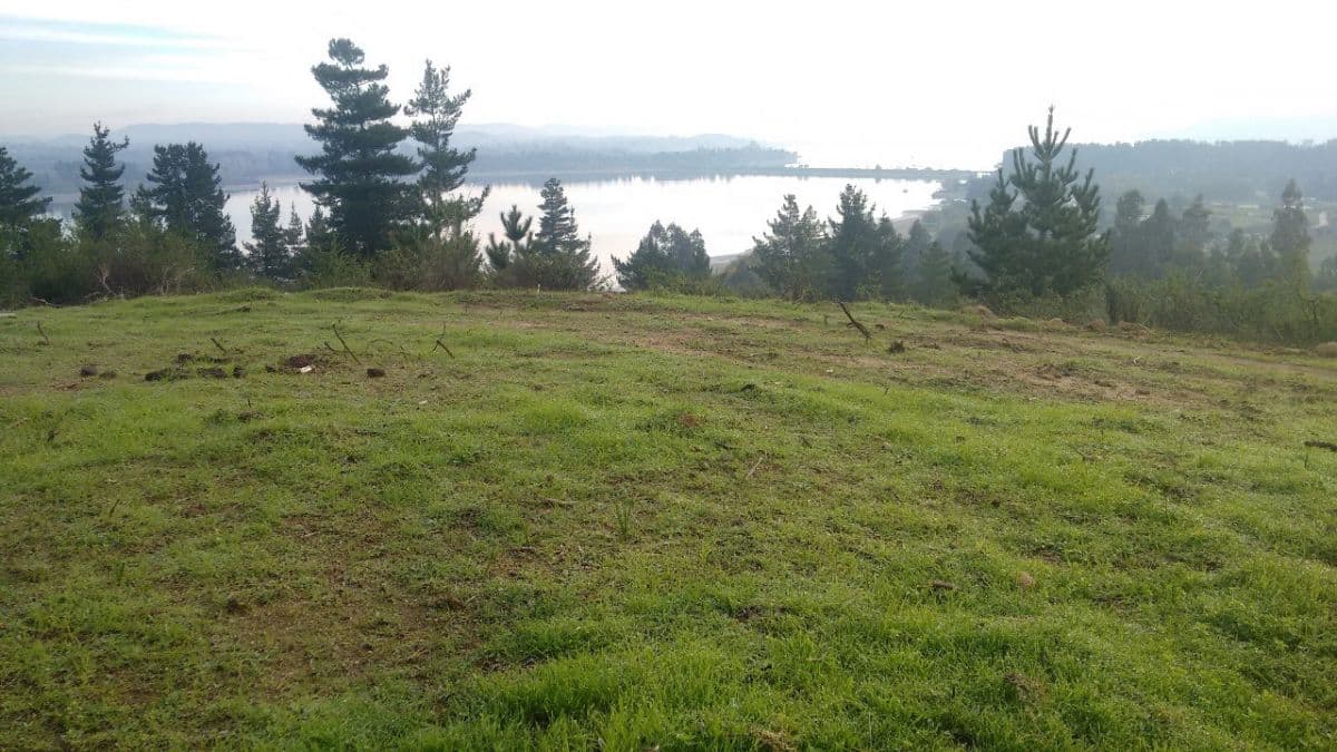 TERRENO SECTOR LA LLAVERíA