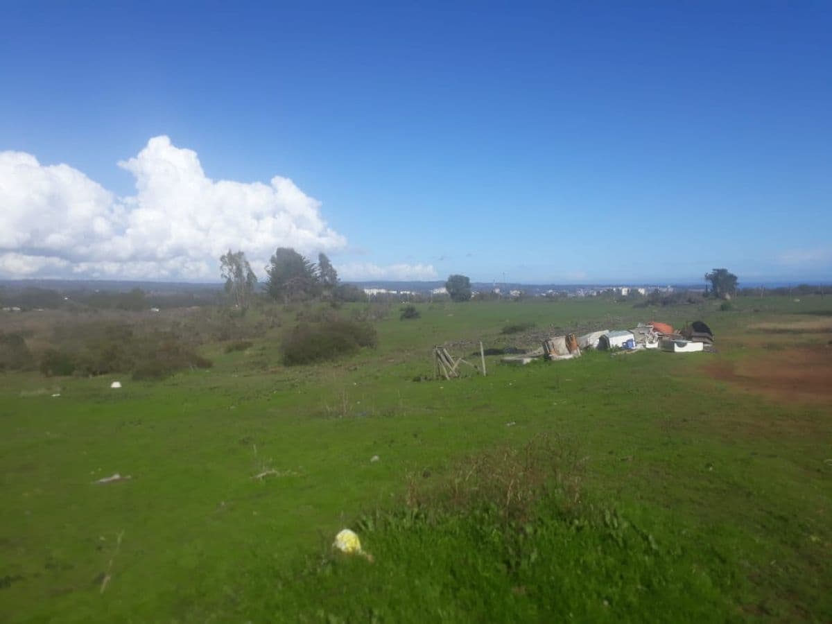 SECTOR ALGARROBO NORTE