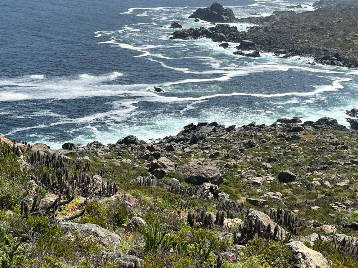 SECTOR CALETA HORNOS 