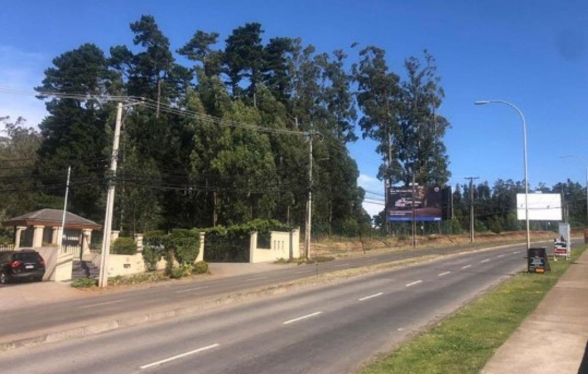 SECTOR LOTEO SUBIDA EL VENADO SAN PEDRO DE LA PAZ