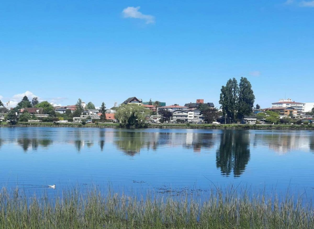 SECTOR LAS ANIMAS PROYECTO INMOBILIARIO