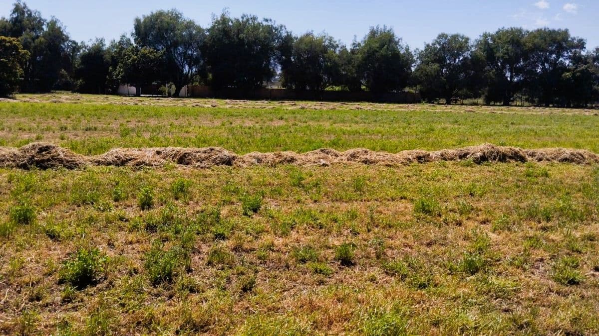 CONDOMINIO CAMPANARIO