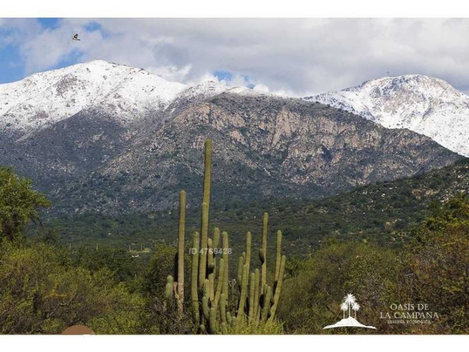 Reserva Oasis de La Campana