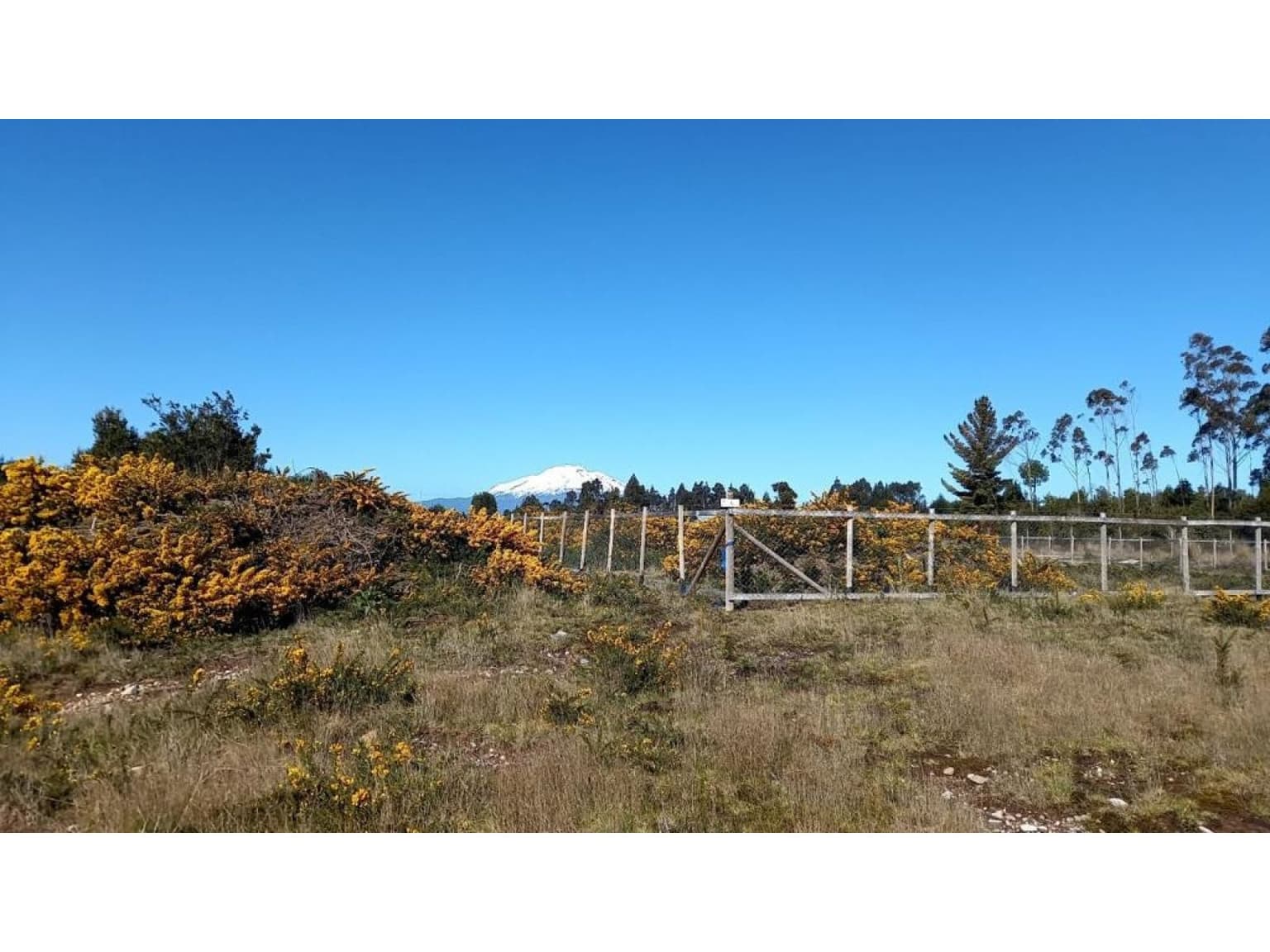 Alerce, puerto montt