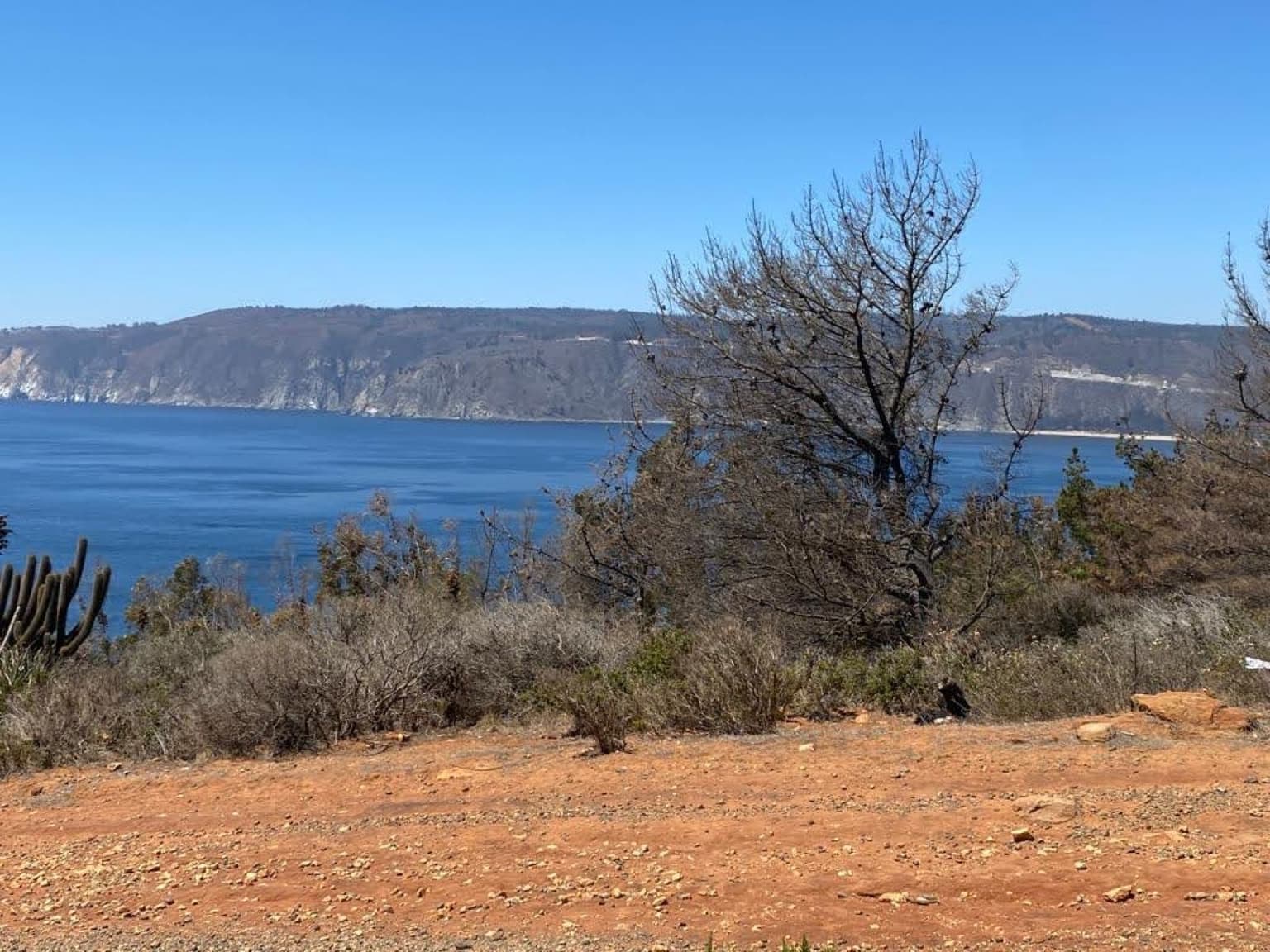 LAGUNA VERDE
