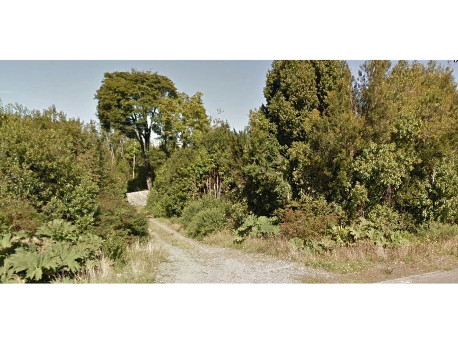 Panitao bajo ruta V 815