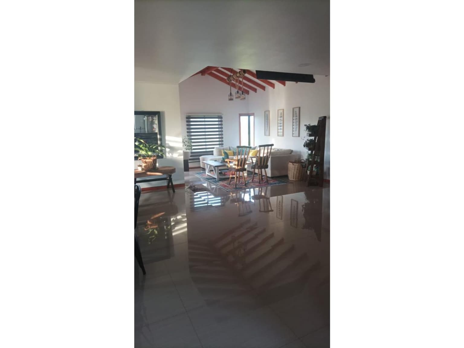 Sector El Ciruelo / Camino a Paso Arena