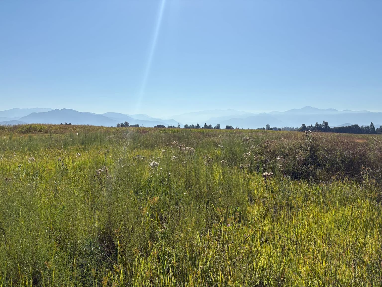San Fernando,Tinguiririca