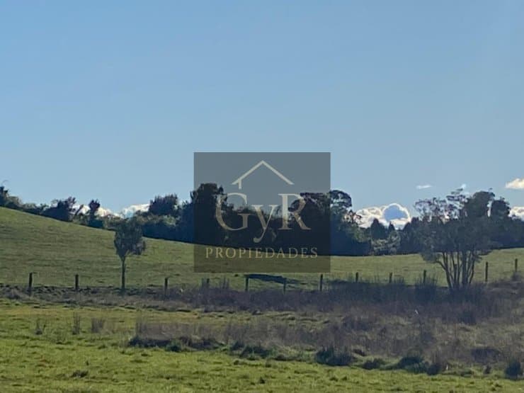 Colonia Tres Puentes