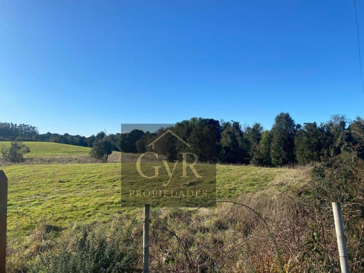 Colonia Tres Puentes