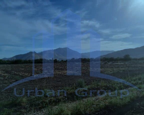 Hacienda del Sol y Larrapinta