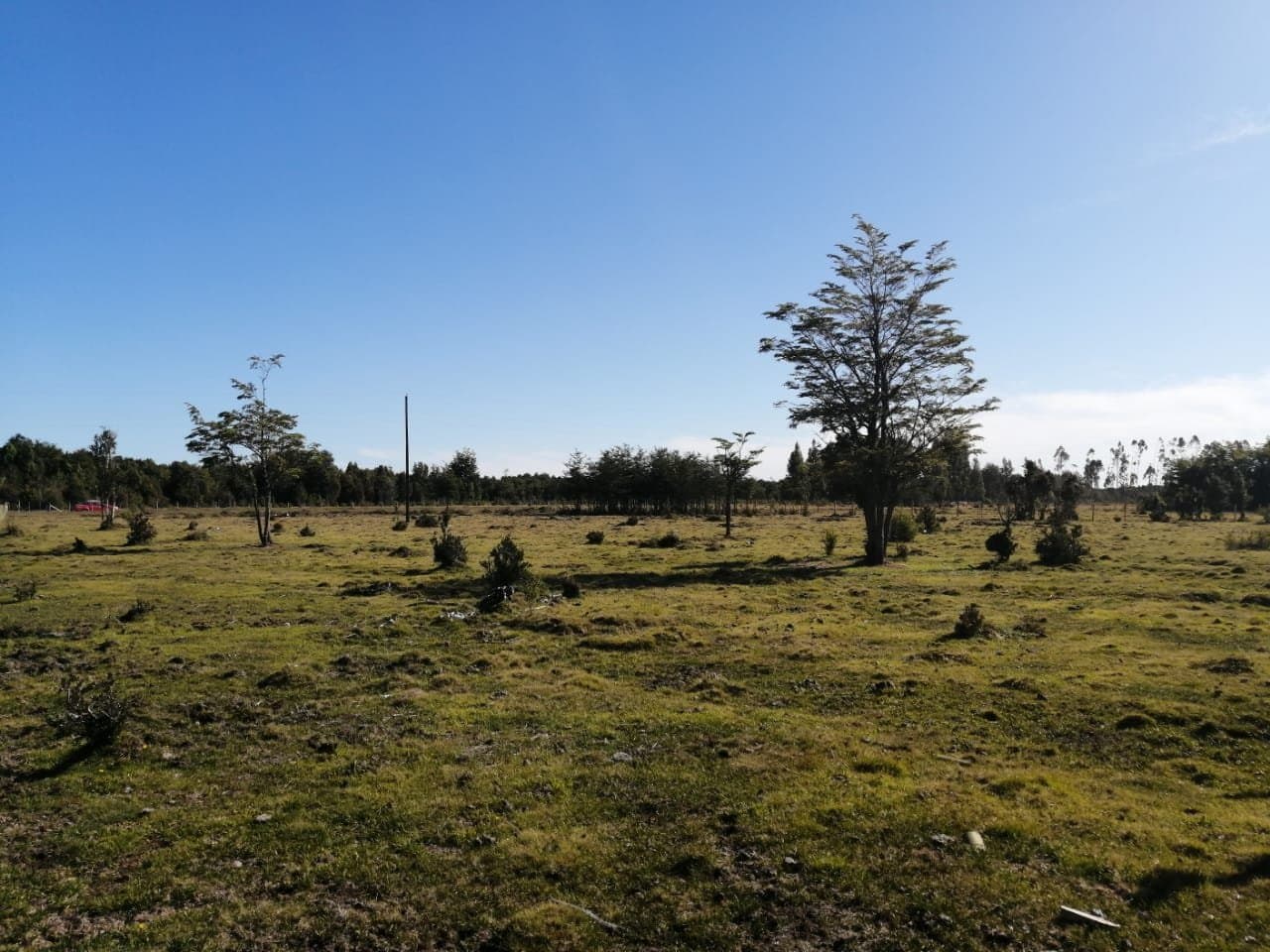 Sector colina el  gato