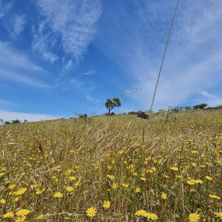 Litueche, Provincia de Cardenal Caro, Chile