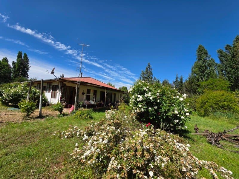 Cuesta Las Animas, La Guañanga, El Manzano, Las Cabras, Prov...