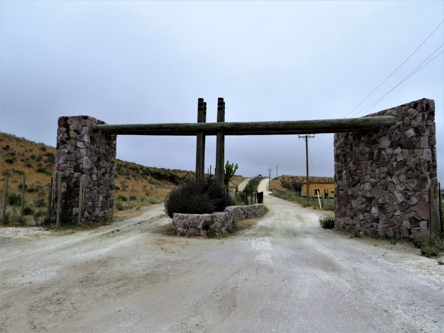 PACHINGO