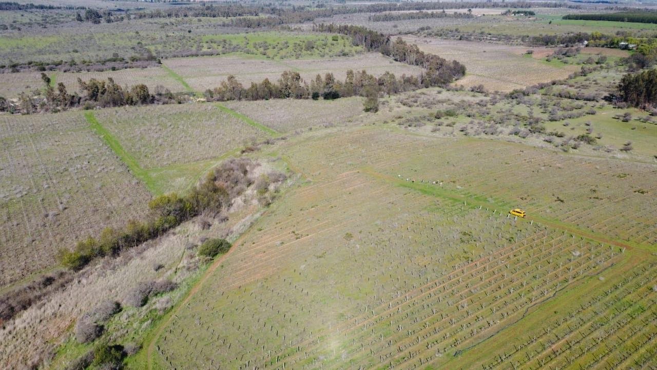 Ruta Cauquenes - Parral