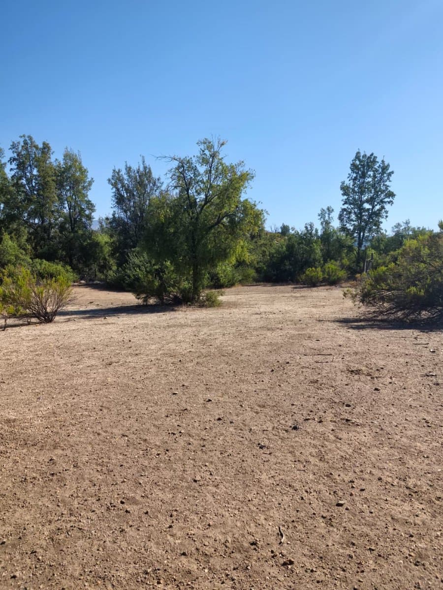 EL LLANO DE CALEU