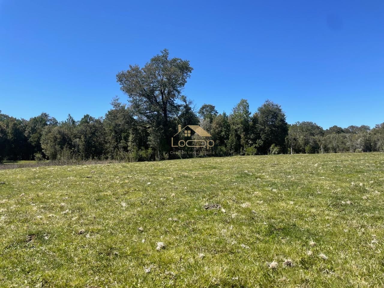 Región de los Lagos